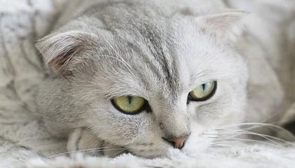 体育新闻中心推动体育赛事数据加密与安全技术研发，体育数据新闻案例